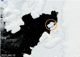 Hidden Iceberg Ecosystem