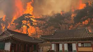 South Korea Wildfires