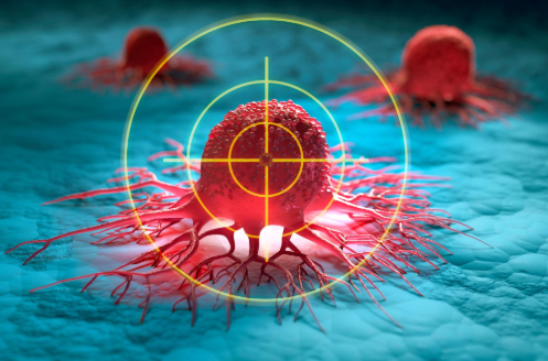 Tumor-Hunting Bacteria Could Save Lives